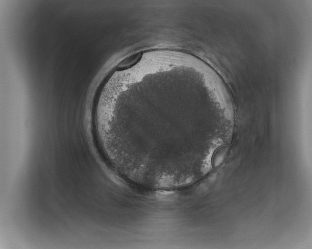 X0000112350055200909101051