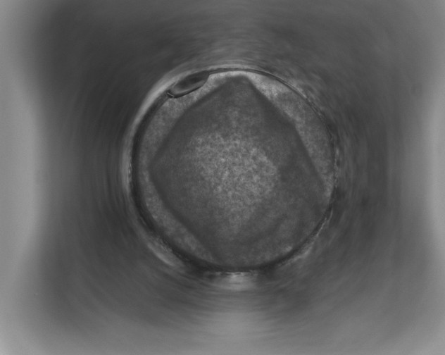 X0000112350056200909101051