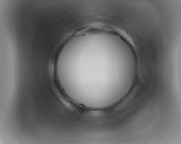 X0000112350057200909101051