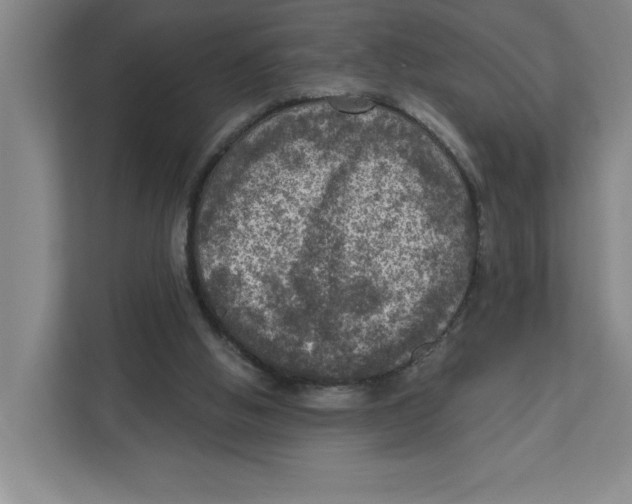 X0000112350058200909101051