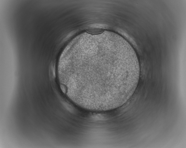 X0000112350062200909101051