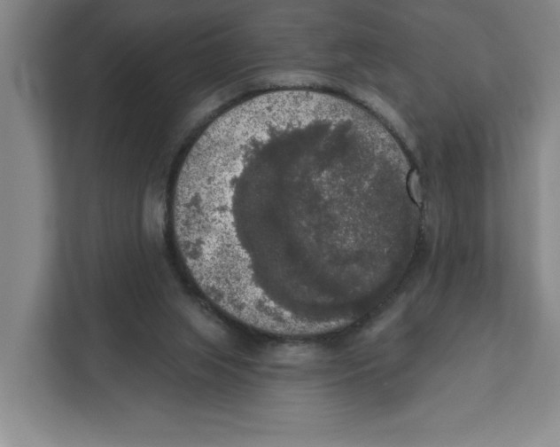 X0000112350063200909101051