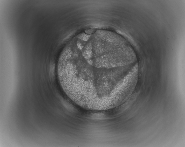 X0000112350066200909101051