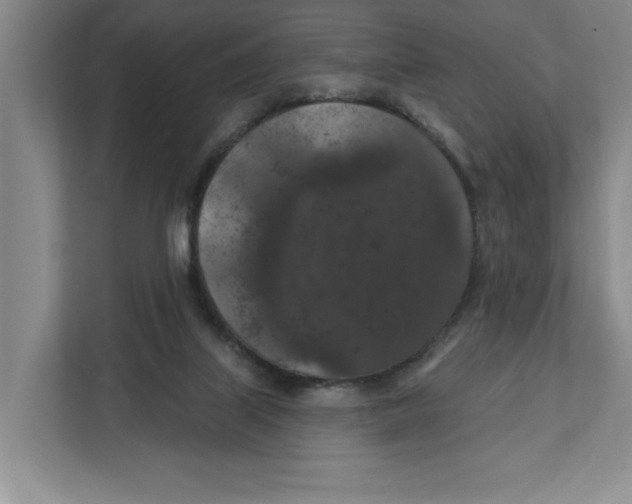 X0000112350067200909101051