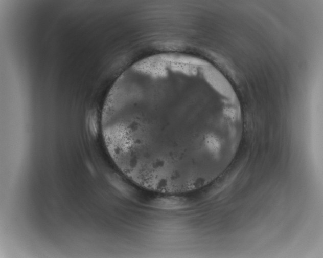 X0000112350069200909101051