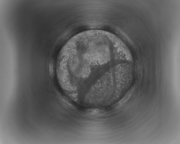 X0000112350074200909101051