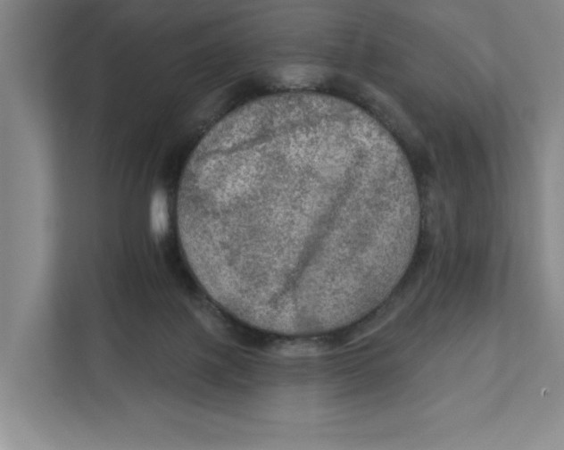 X0000112350075200909101051