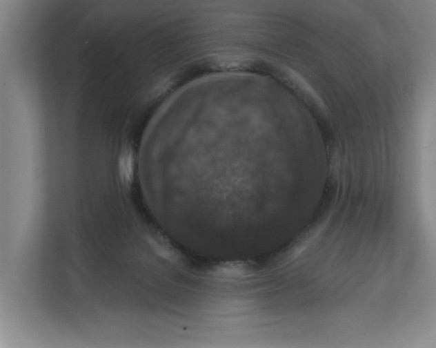 X0000112350076200909101051