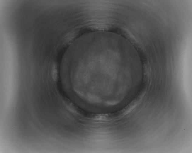 X0000112350080200909101051