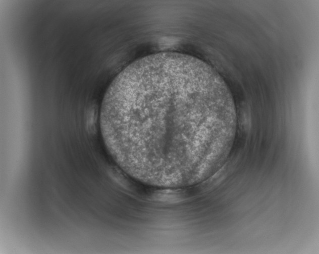 X0000112350082200909101051