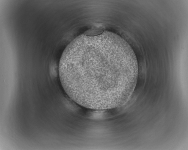 X0000112350090200909101052