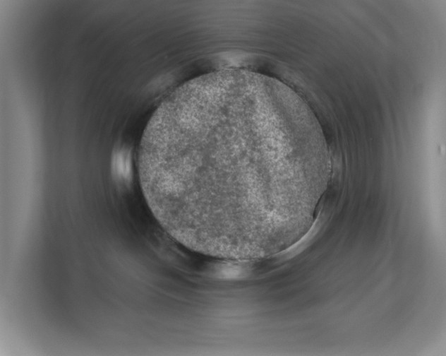 X0000112350094200909101052