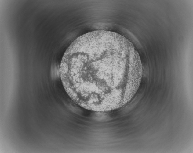 X0000112350095200909101052