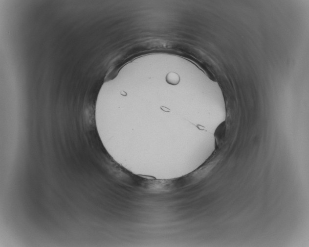 X0000112350096200909101052