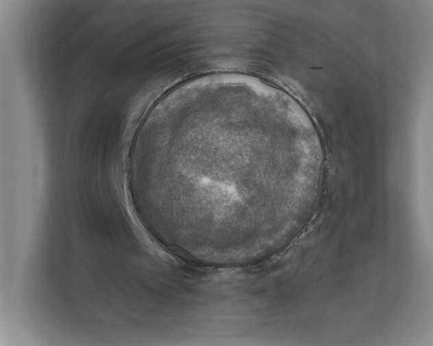 X0000112350097200909101051