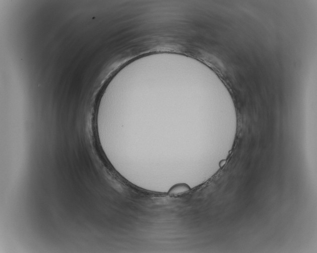 X0000112350098200909101051