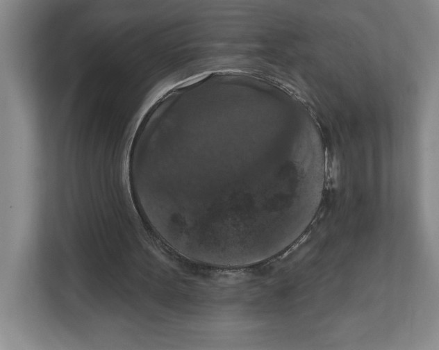 X0000112350099200909101051