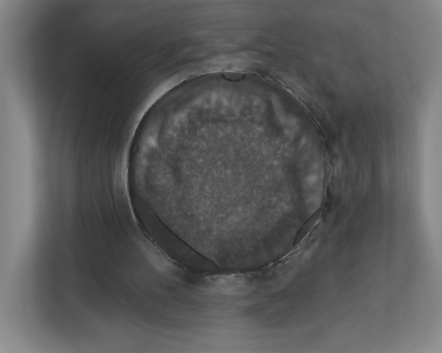 X0000112350100200909101051