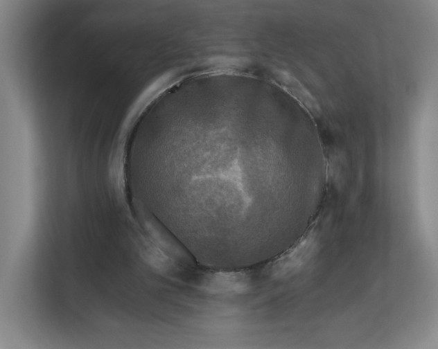 X0000112350101200909101051