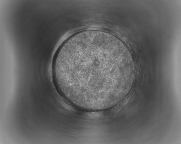 X0000112350102200909101051