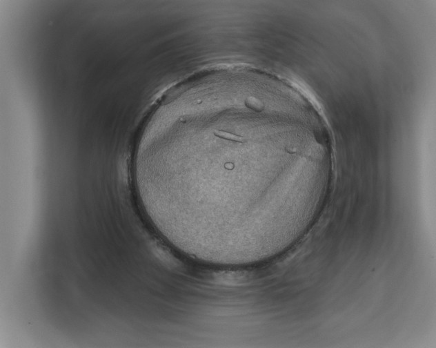 X0000112350105200909101051