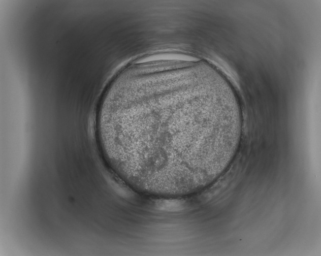 X0000112350107200909101051