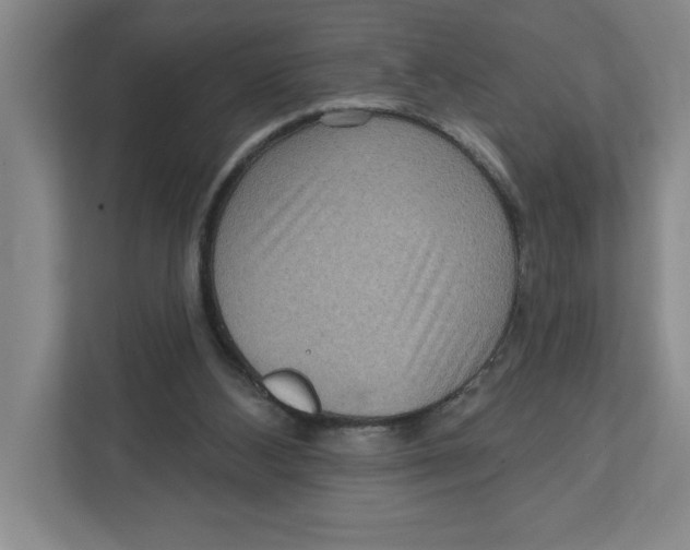 X0000112350108200909101051