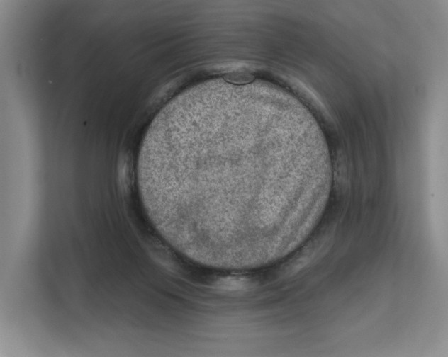 X0000112350119200909101051