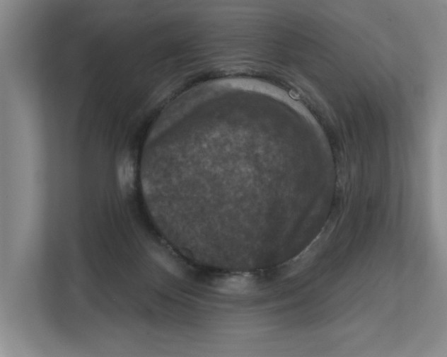 X0000112350124200909101051