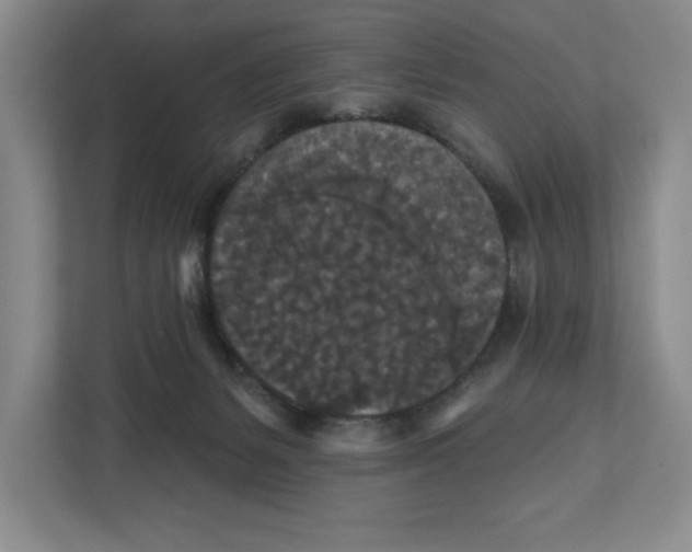 X0000112350127200909101051