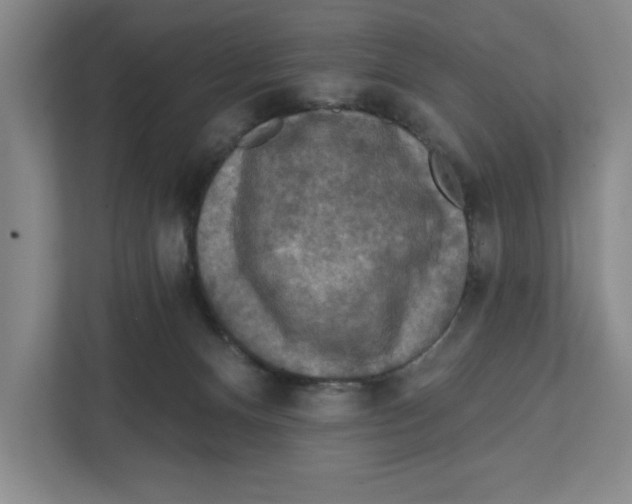 X0000112350128200909101051