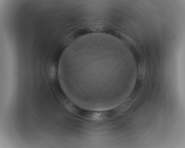 X0000112350130200909101051