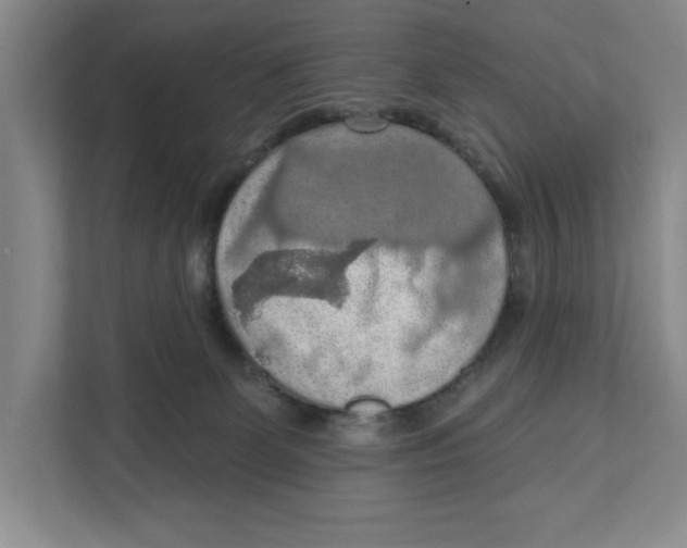 X0000112350131200909101051