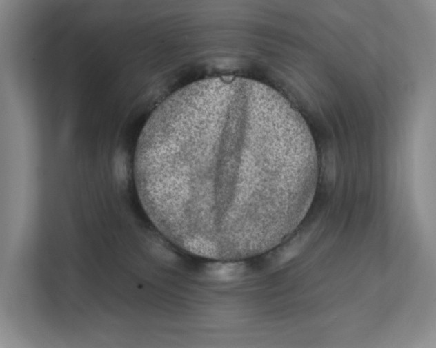 X0000112350135200909101051