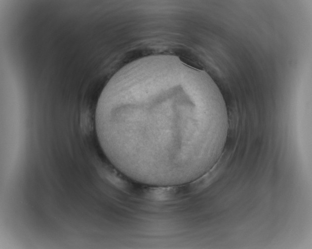 X0000112350136200909101051