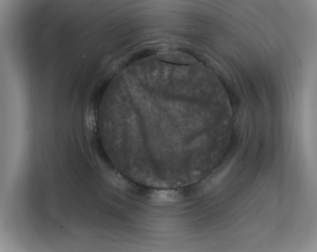 X0000112350137200909101051