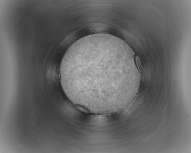 X0000112350140200909101050