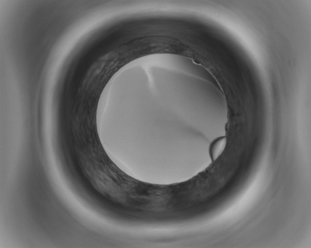 X0000112350143200909101050