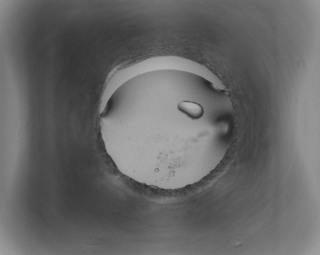 X0000112350144200909101050