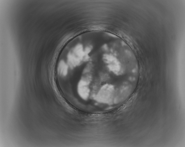 X0000112350145200909101050