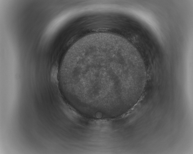 X0000112350146200909101050