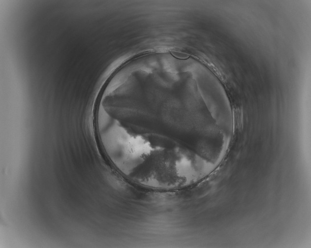 X0000112350147200909101050