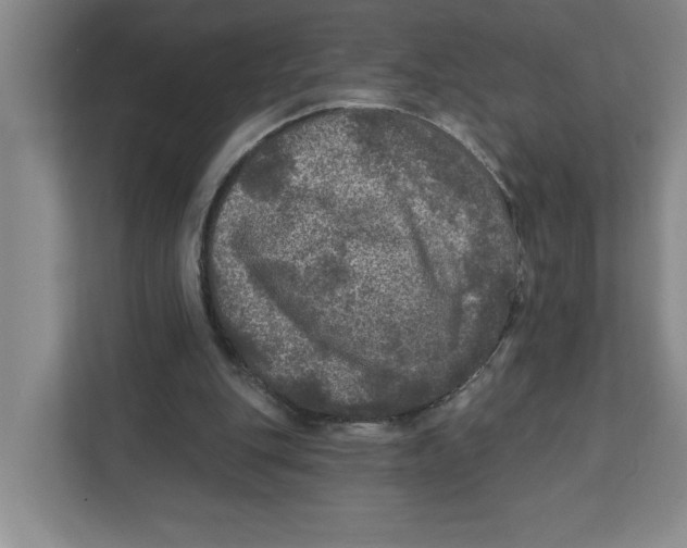 X0000112350151200909101050