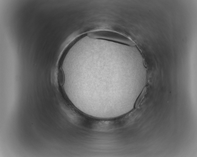 X0000112350152200909101050