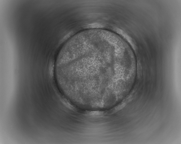 X0000112350153200909101050