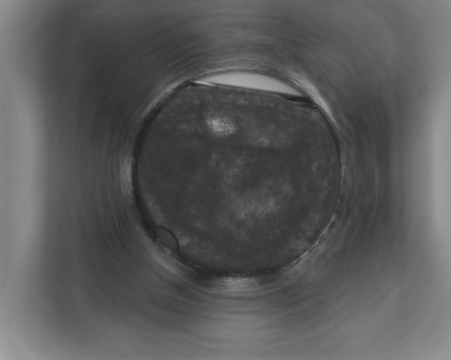 X0000112350154200909101050