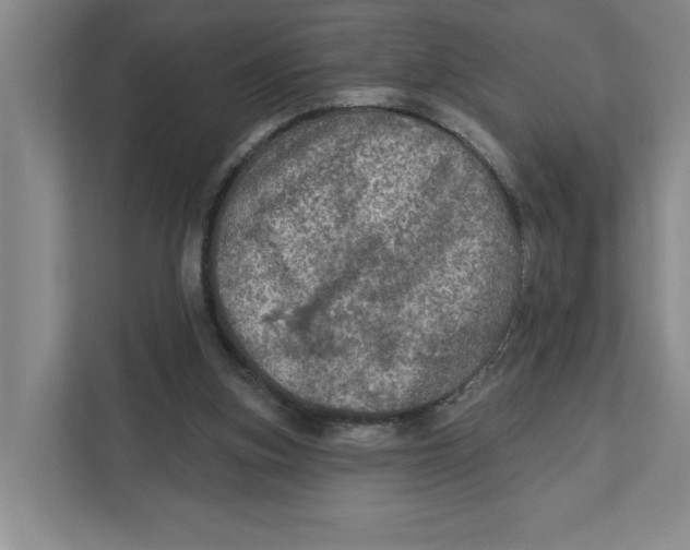 X0000112350155200909101050