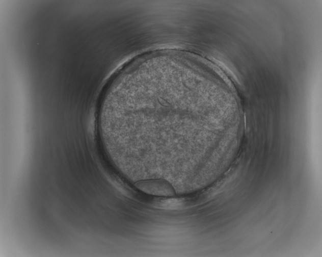 X0000112350156200909101050