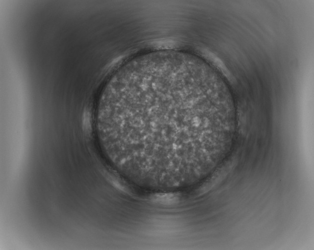 X0000112350161200909101050