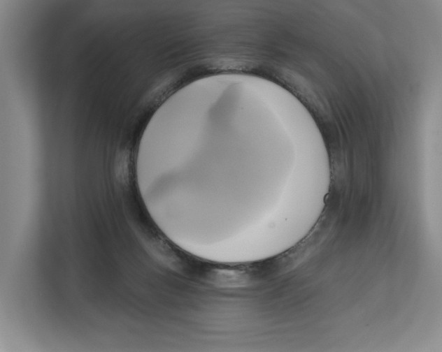 X0000112350167200909101050